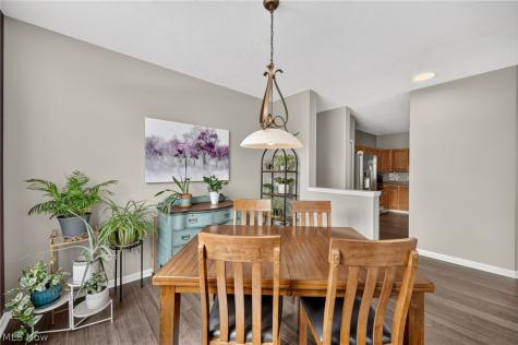 7390 Forest Cove Lane Northfield OH 44067