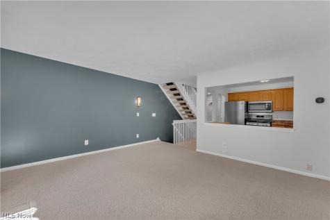 4215 Jennings Ridge Drive Cleveland OH 44109