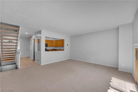 4215 Jennings Ridge Drive Cleveland OH 44109