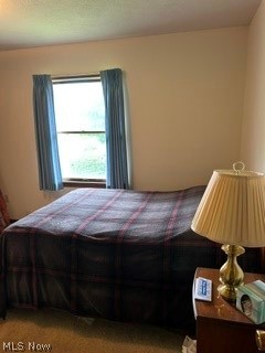 1926 Maple Street Salem OH 44460
