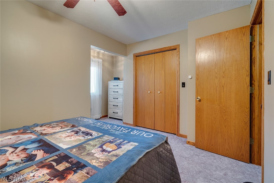 3710 Mercedes Place Canfield OH 44406