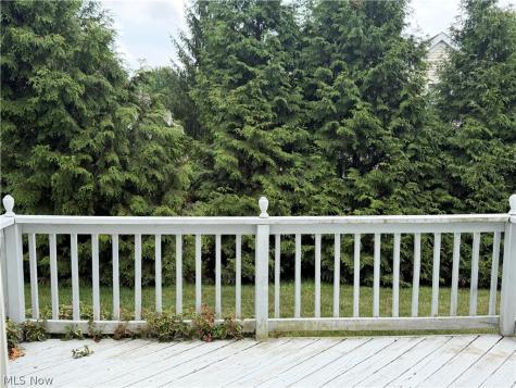 8531 Ravenswood Lane Macedonia OH 44056