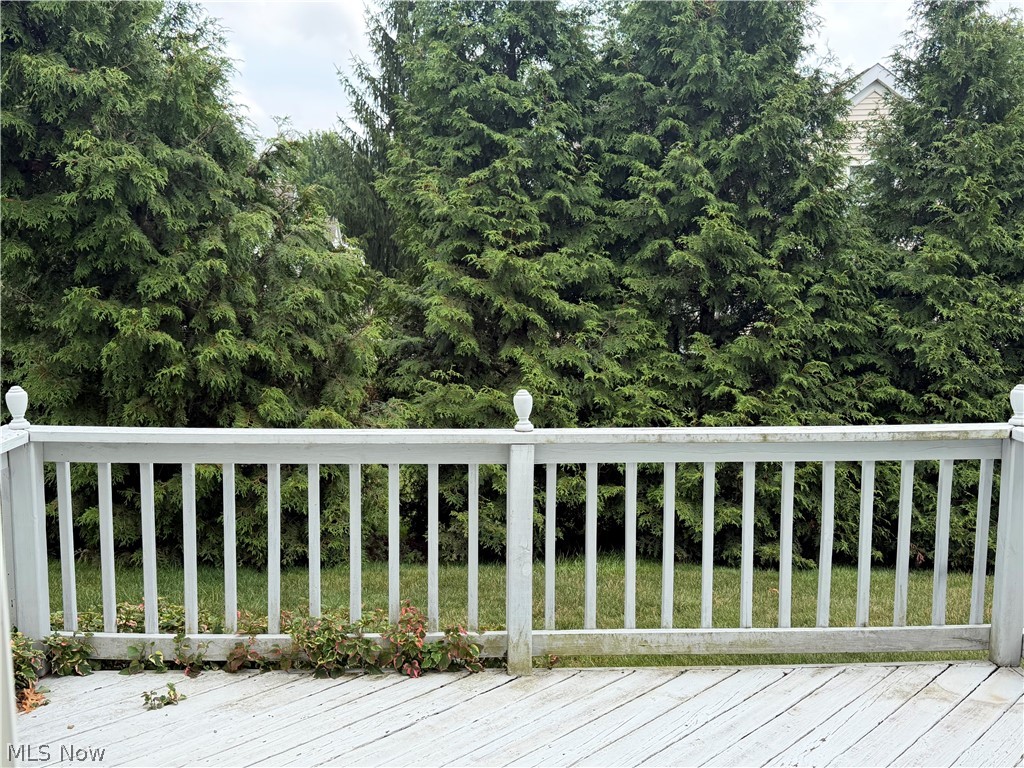 8531 Ravenswood Lane Macedonia OH 44056
