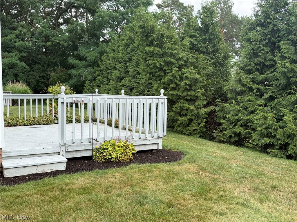 8531 Ravenswood Lane Macedonia OH 44056