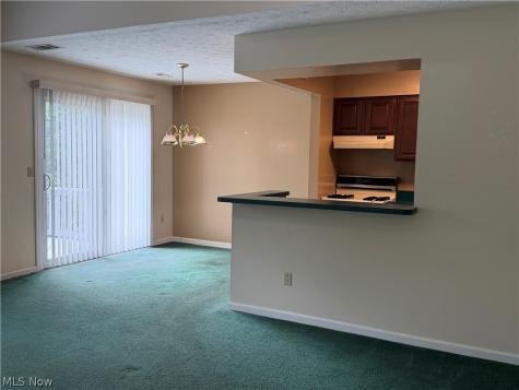 8531 Ravenswood Lane Macedonia OH 44056