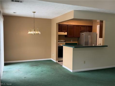 8531 Ravenswood Lane Macedonia OH 44056