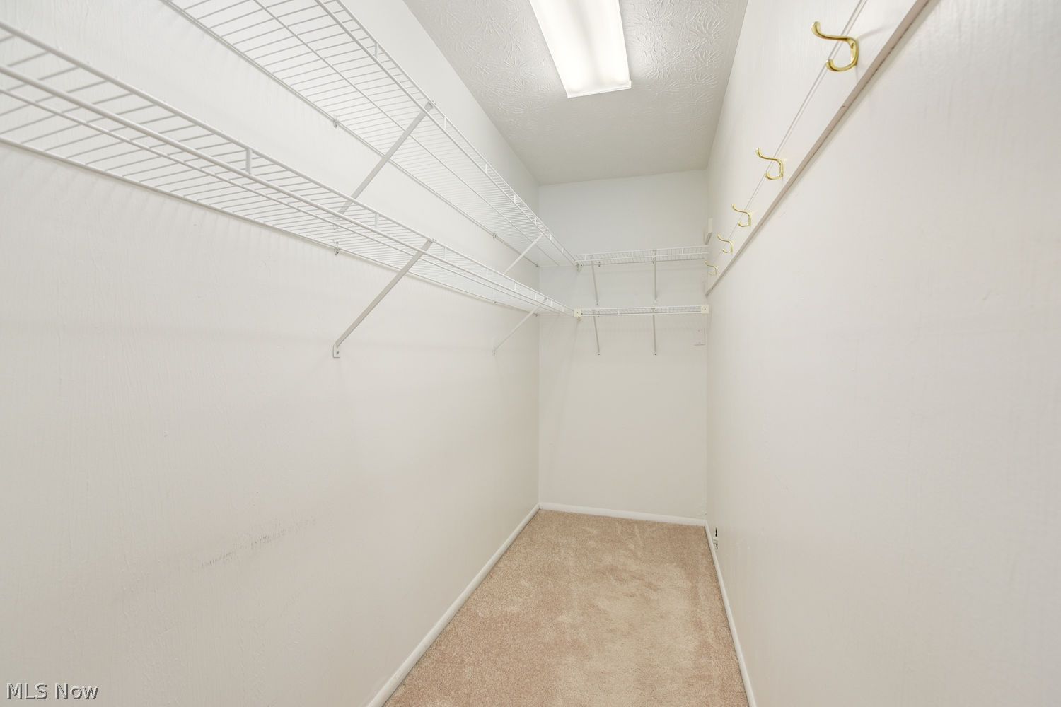2847 Pease Drive Rocky River OH 44116