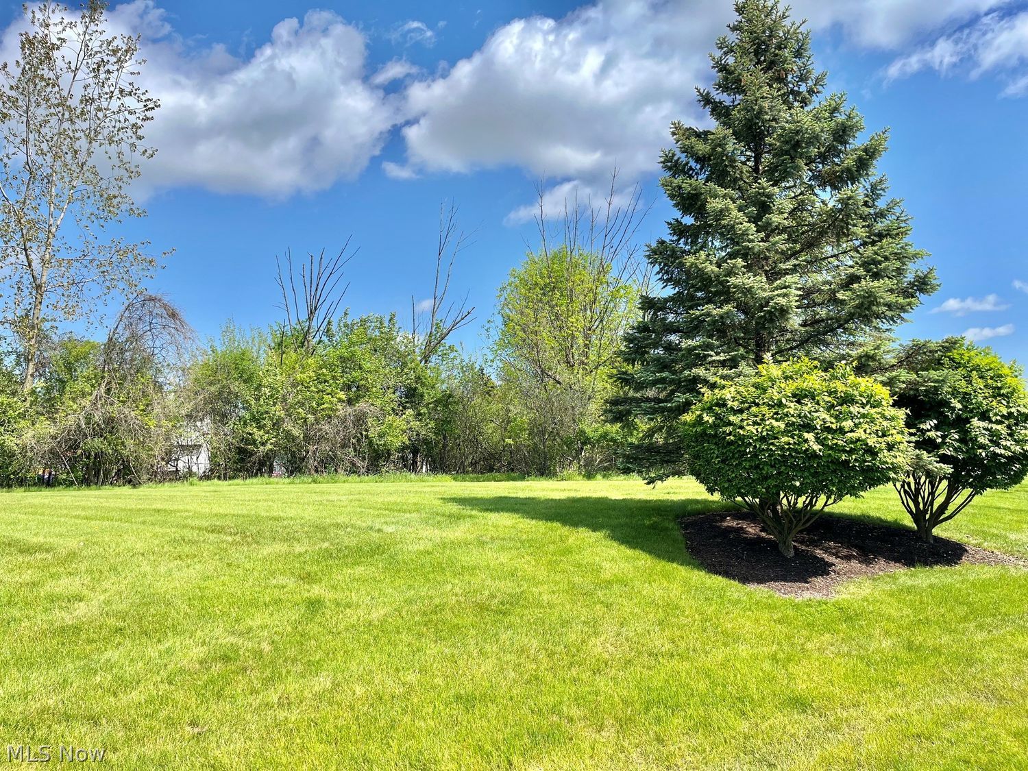 4546 Grand Teton Drive Medina OH 44256