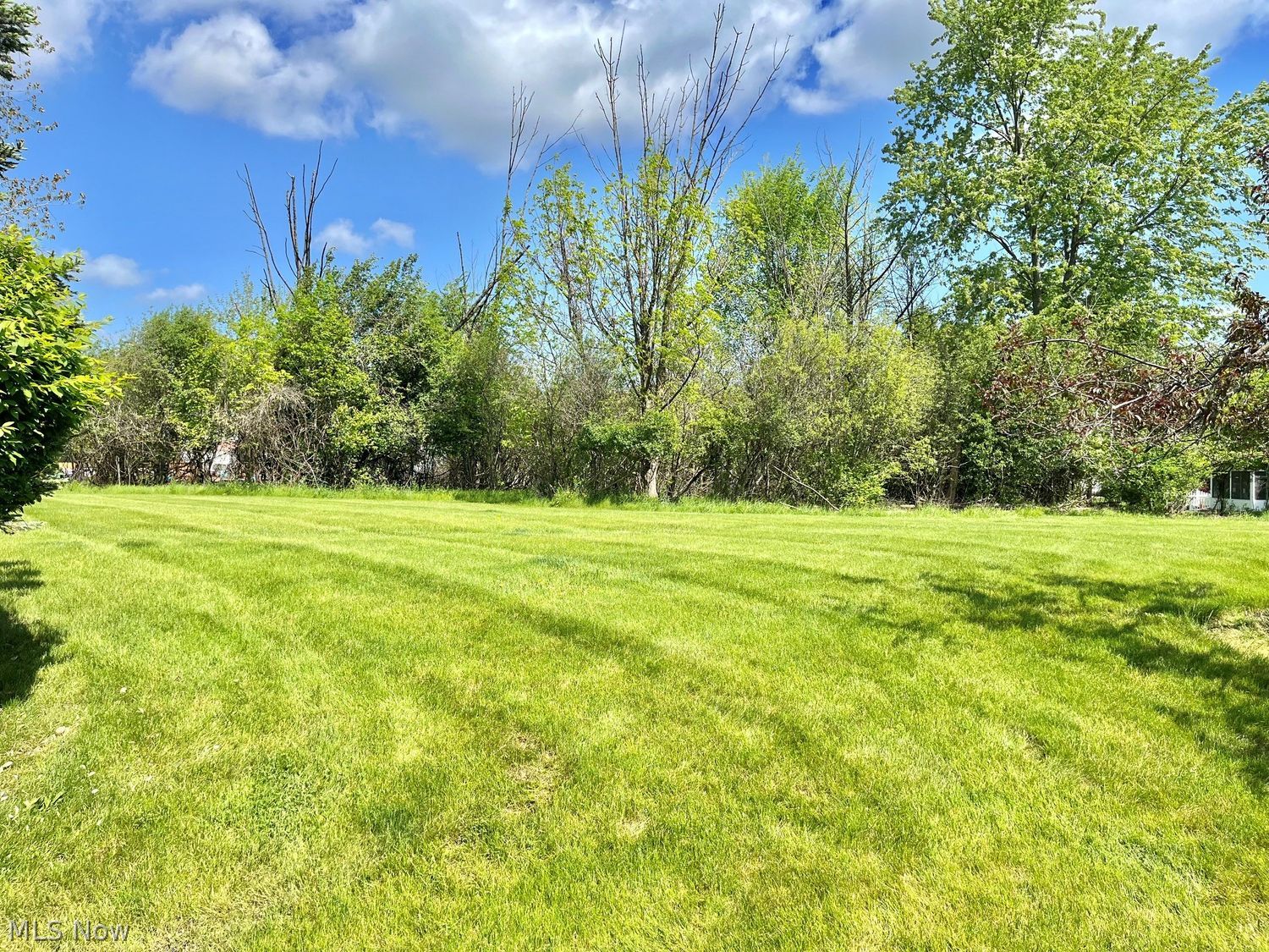 4546 Grand Teton Drive Medina OH 44256
