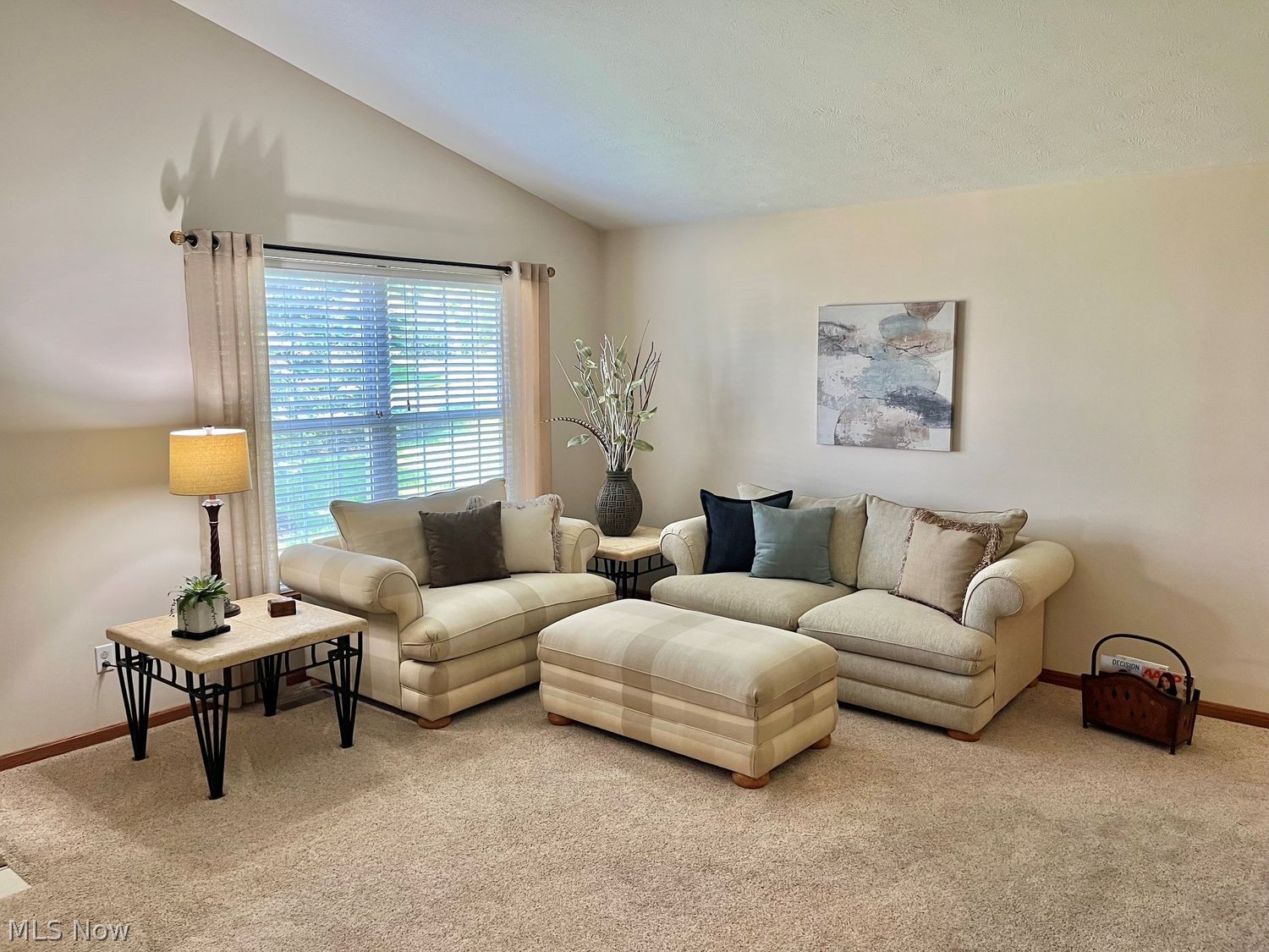 4546 Grand Teton Drive Medina OH 44256