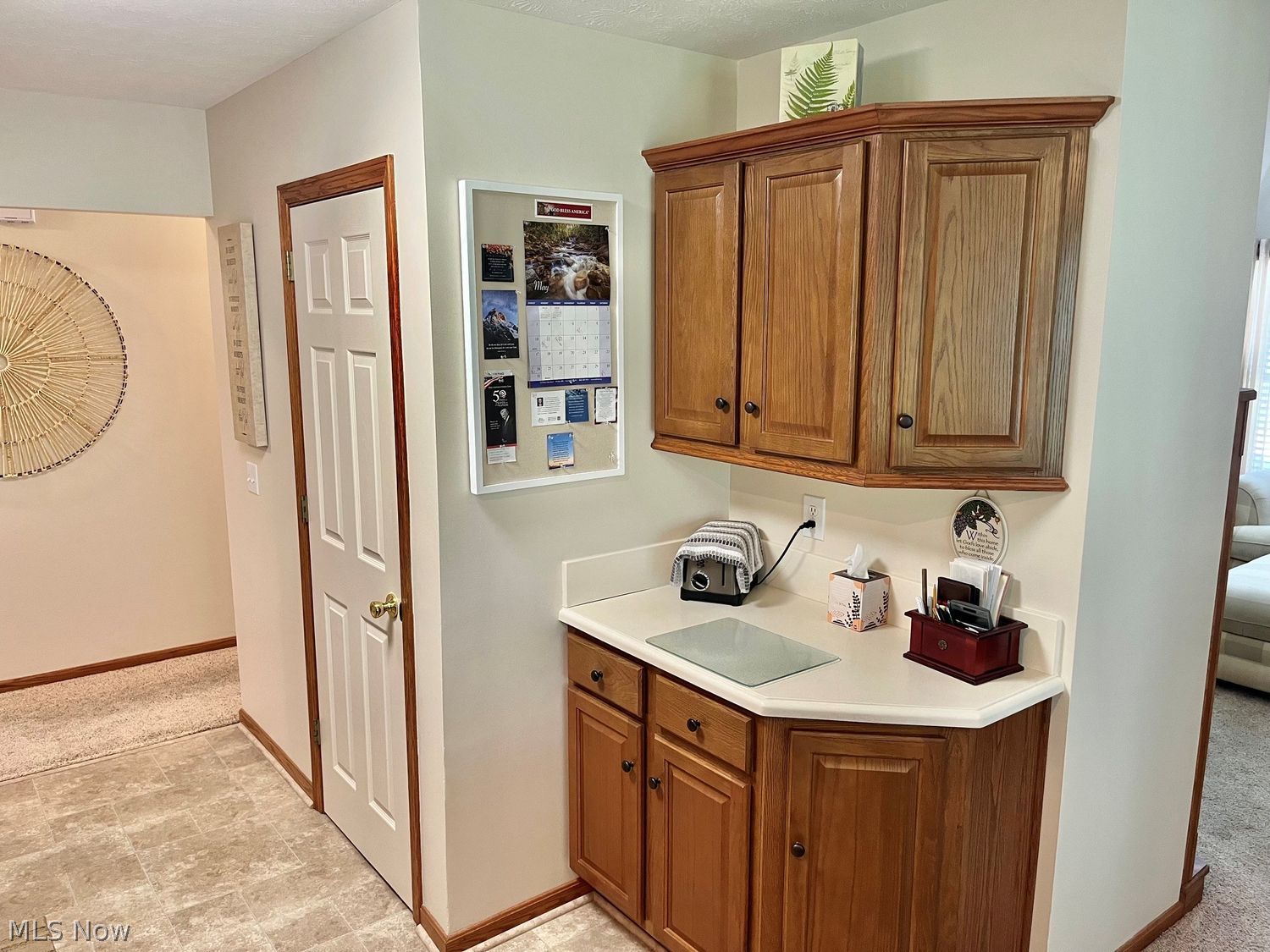 4546 Grand Teton Drive Medina OH 44256