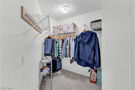 7583 Willow Woods Drive North Olmsted OH 44070