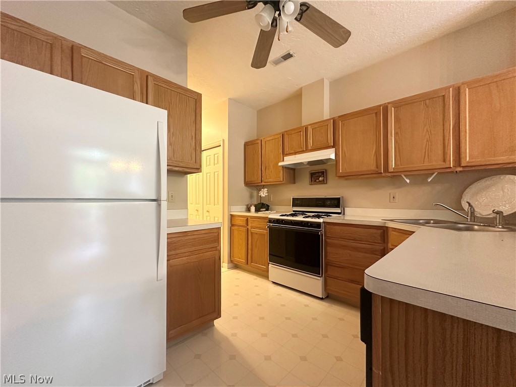 34 Woodland Chase Boulevard Niles OH 44446