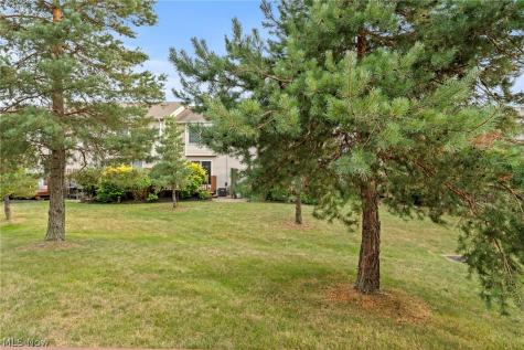 4262 Hadley Court Brunswick OH 44212