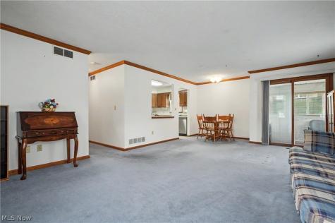 145 Michael Lane Cuyahoga Falls OH 44223