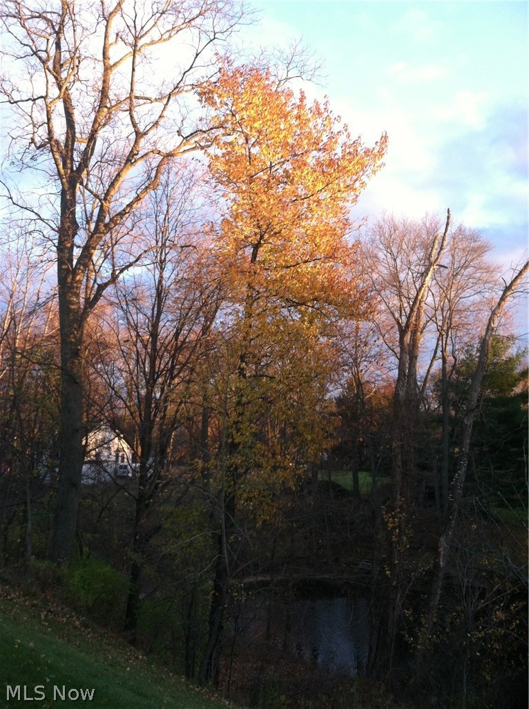 12225 Pheasant Run Circle North Royalton OH 44133