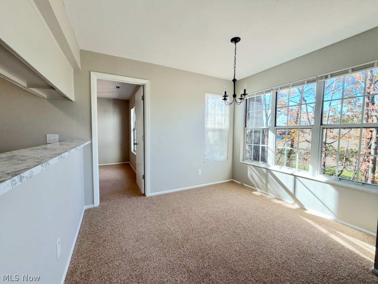 2202 Stoney Run Trail Broadview Heights OH 44147