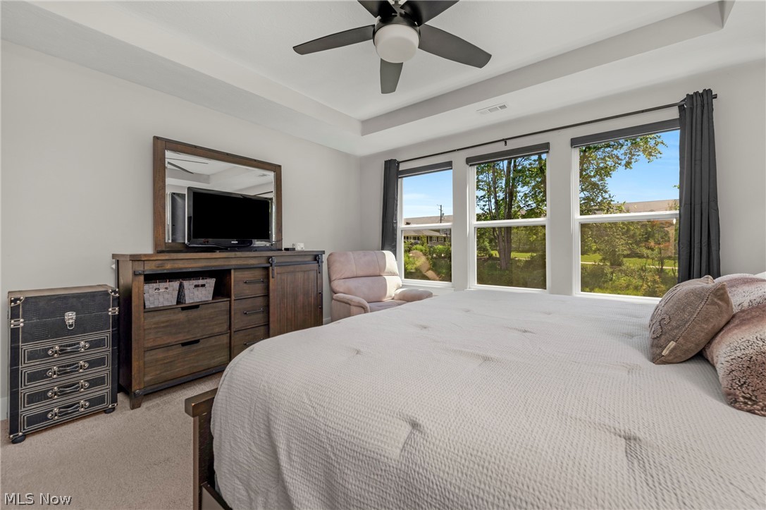 9235 Ledge View Terrace Broadview Heights OH 44147