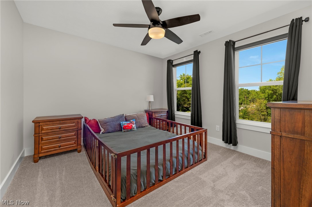 9235 Ledge View Terrace Broadview Heights OH 44147