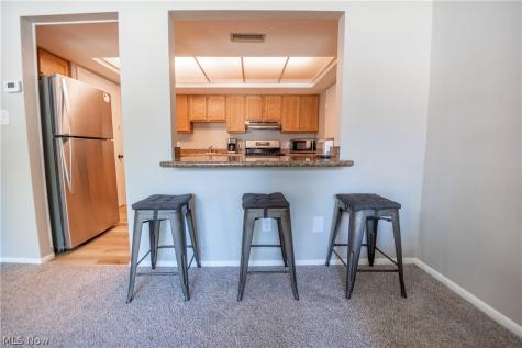 26674 Lake Of The Falls Boulevard Olmsted Falls OH 44138