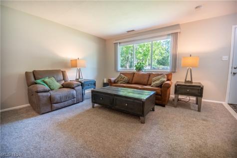 26674 Lake Of The Falls Boulevard Olmsted Falls OH 44138