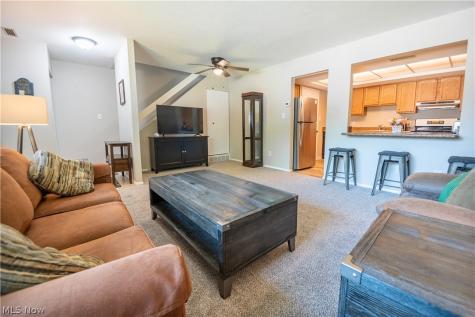 26674 Lake Of The Falls Boulevard Olmsted Falls OH 44138
