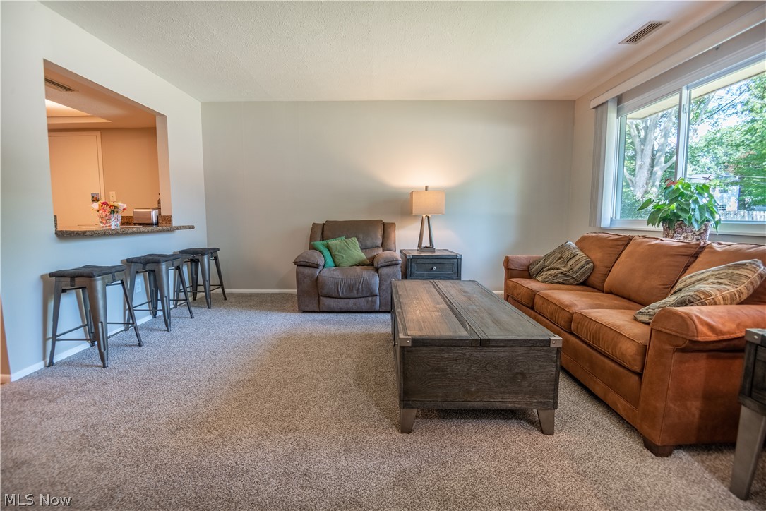 26674 Lake Of The Falls Boulevard Olmsted Falls OH 44138