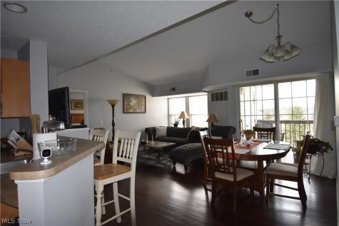 23004 Chandlers Lane Olmsted Falls OH 44138