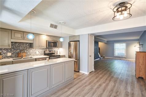 51 Nottoway Court Akron OH 44313