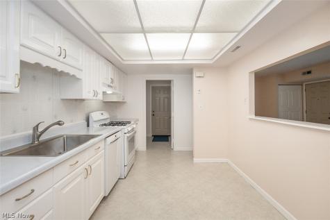 26702 Lake Of The Falls Boulevard Olmsted Falls OH 44138