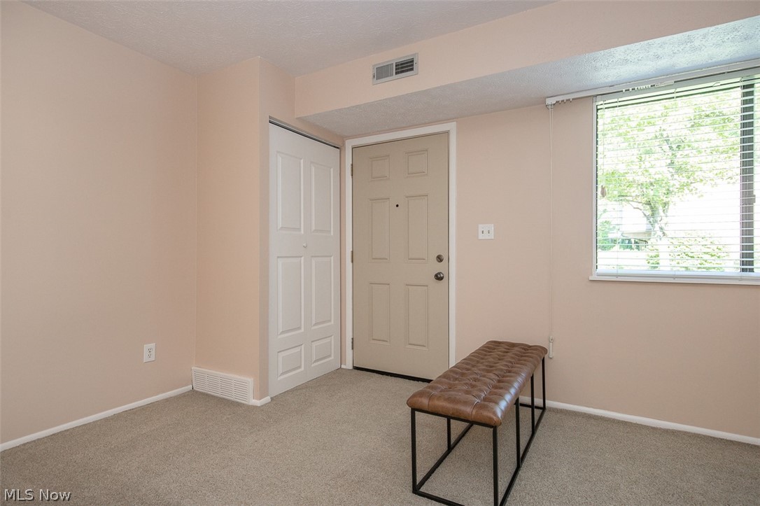 26702 Lake Of The Falls Boulevard Olmsted Falls OH 44138