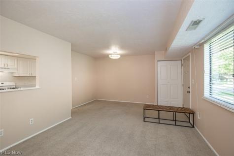26702 Lake Of The Falls Boulevard Olmsted Falls OH 44138