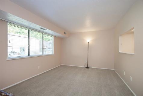 26702 Lake Of The Falls Boulevard Olmsted Falls OH 44138