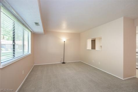26702 Lake Of The Falls Boulevard Olmsted Falls OH 44138