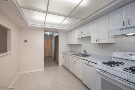 26702 Lake Of The Falls Boulevard Olmsted Falls OH 44138
