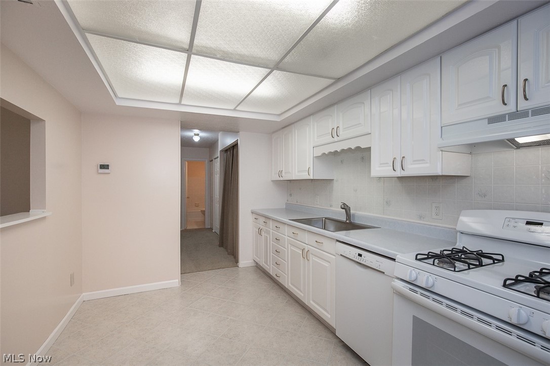26702 Lake Of The Falls Boulevard Olmsted Falls OH 44138