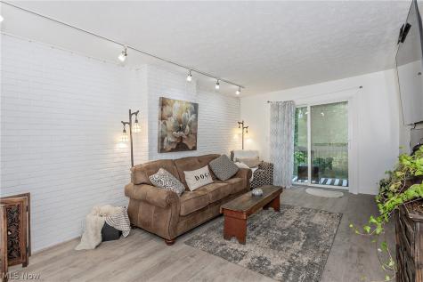 791 Geddes Bluff Sagamore Hills OH 44067