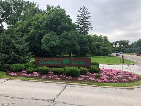 791 Geddes Bluff Sagamore Hills OH 44067