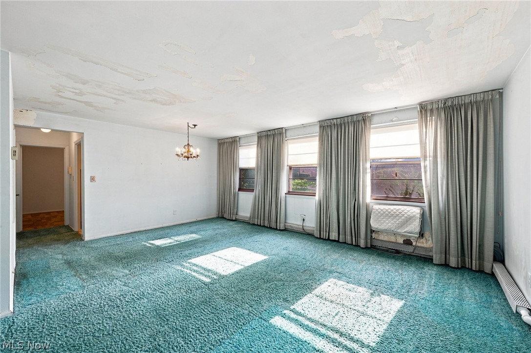 13793 Cedar Road South Euclid OH 44118