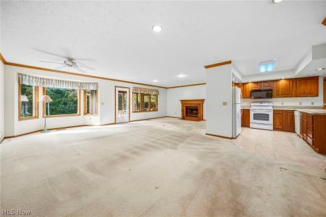 9500 Lismore Lane Mentor OH 44060