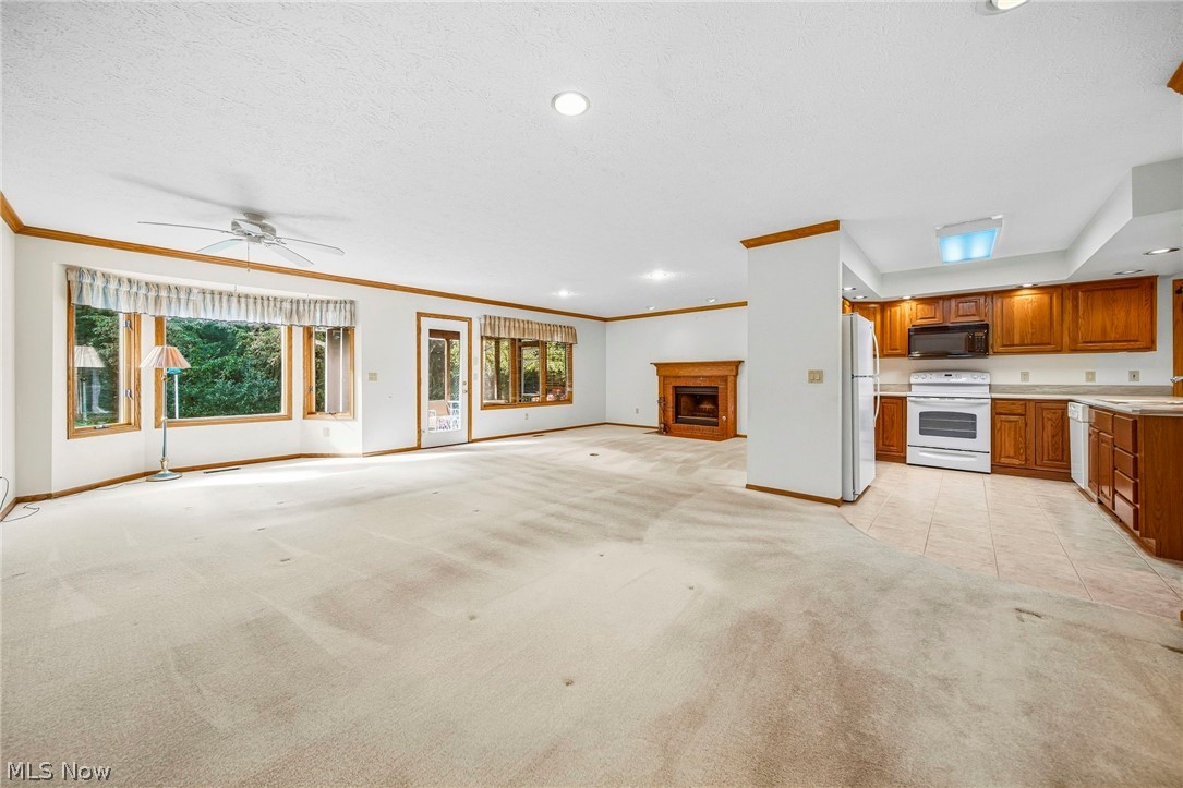 9500 Lismore Lane Mentor OH 44060