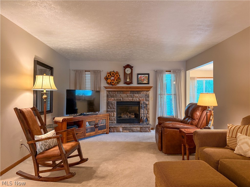 100 Pondview Circle Rittman OH 44270