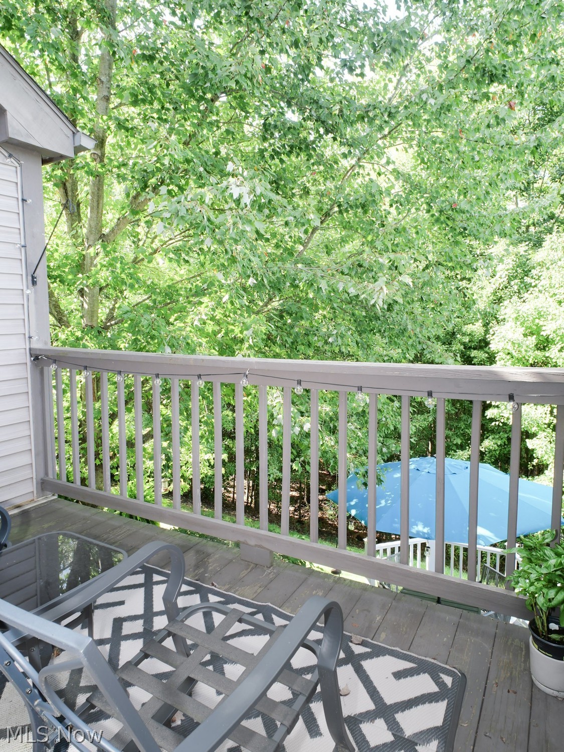 4032 St Andrews Court Canfield OH 44406