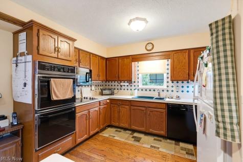 7592 Andrea Drive Mentor OH 44060
