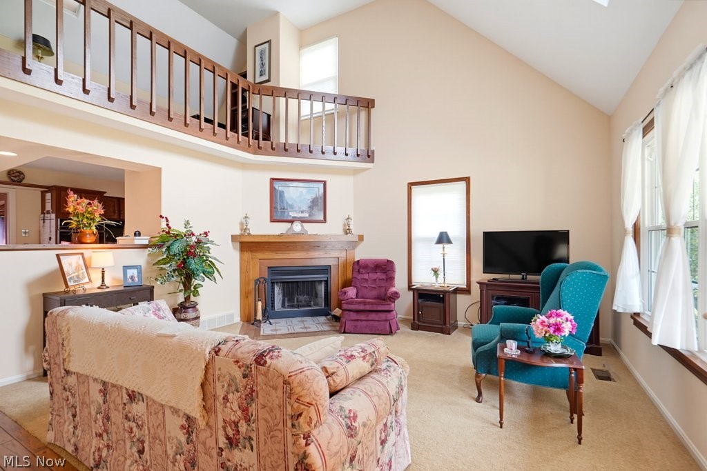7592 Andrea Drive Mentor OH 44060