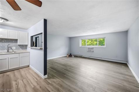 101 S Rocky River Drive Berea OH 44017