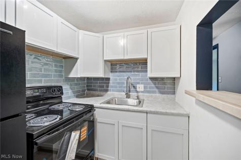 101 S Rocky River Drive Berea OH 44017