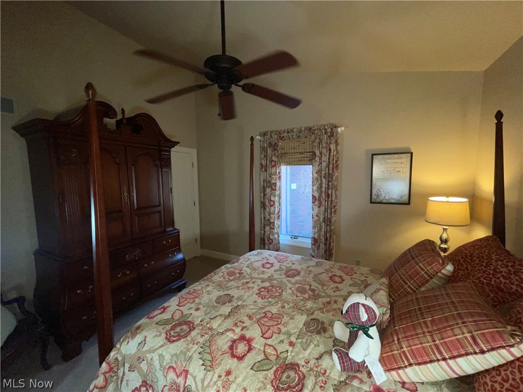 3731 Mercedes Place Canfield OH 44406