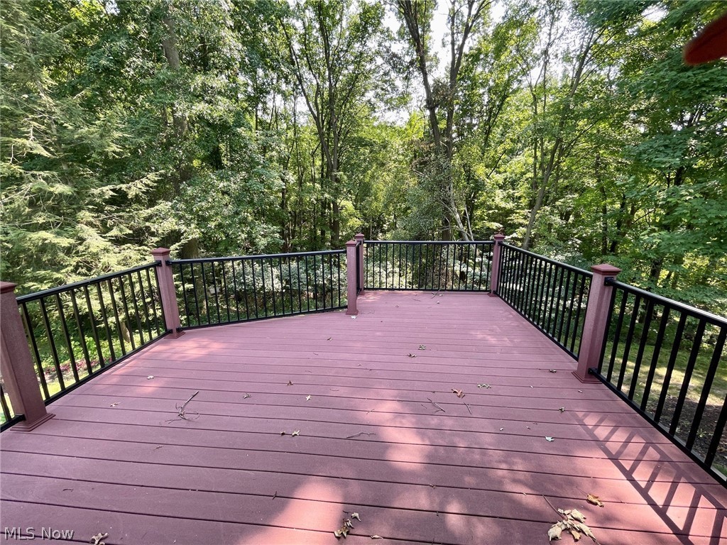 3731 Mercedes Place Canfield OH 44406
