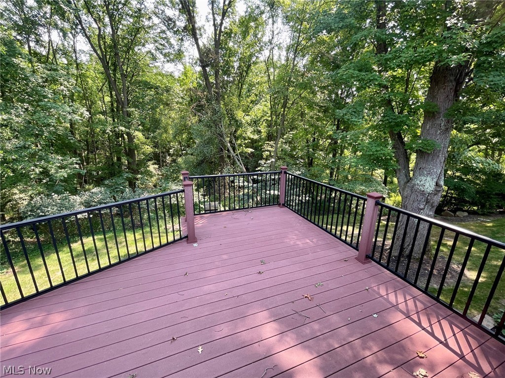 3731 Mercedes Place Canfield OH 44406